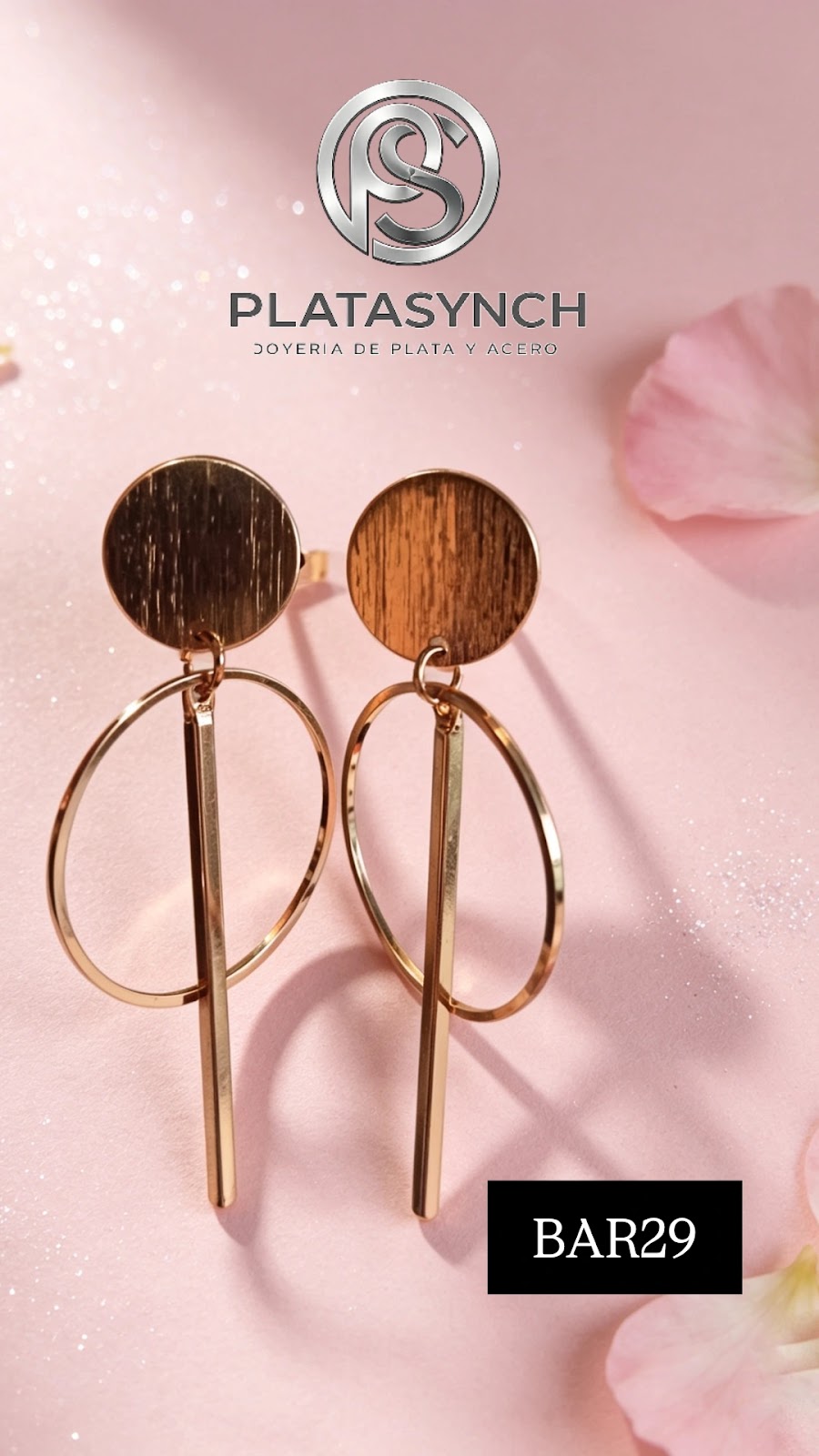 BAR29 - Aretes brass Doble circulo - Palito dorado